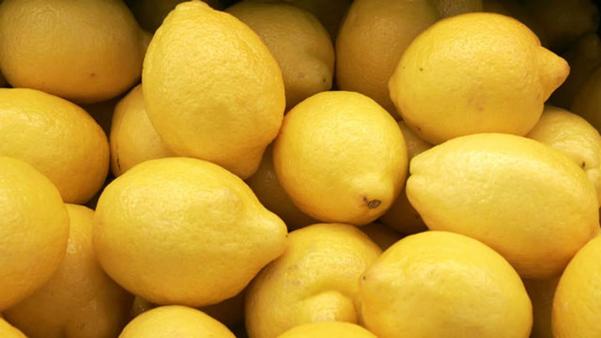 Вес 1 лимона. Лимон Аргентина. Лимоны из Аргентины. Лимон ЮАР. 1 Лимон.
