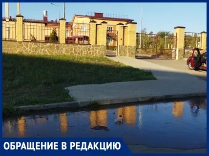 Залит 2022