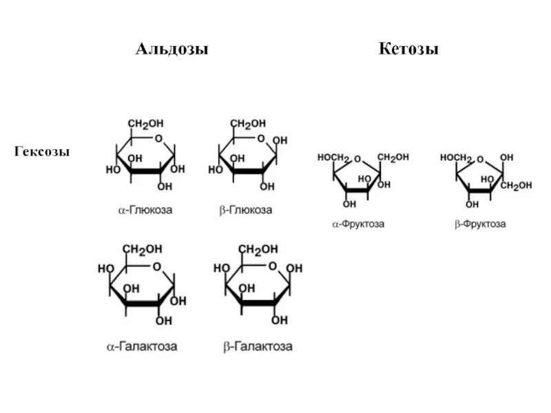 Классификация моносахаридов альдозы и кетозы. Альдоза гексоза. Альдозы и кетозы представители. Формулы углеводов гексоза. Глюкоза галактоза рибоза