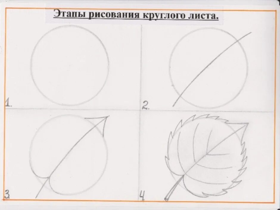 Нарисовать лист поэтапно. Поэтапное рисование листа для детей 4-5. поэтапно нарисовать лист бумаги. техника поэтапно как рисовать лепестки. как нарисовать орех карандашом поэтапно для начинающих.