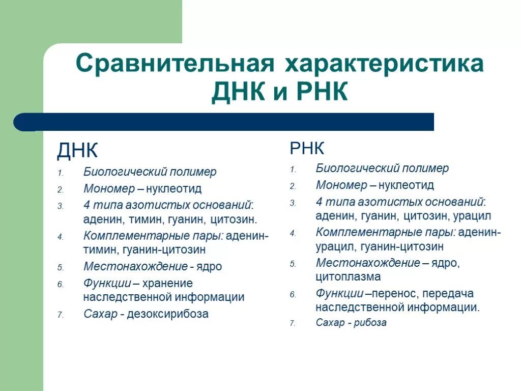 Днк и рнк общее. Структура ДНК И РНК кратко. Строение ДНК И РНК кратко. Сравнительная характеристика структуры и функций ДНК И РНК. Функции ДНК И РНК кратко.