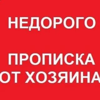 Прописка недорого