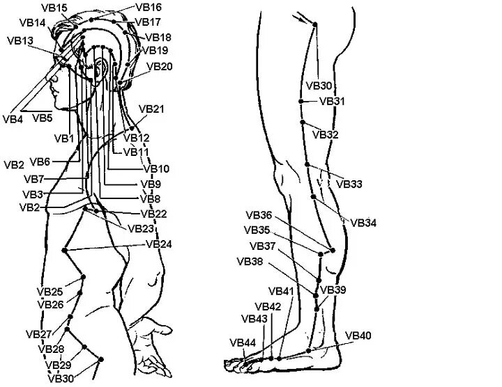 Вб 14 лет. Меридиан желчного пузыря точки расположения. Точки меридиана желчного пузыря на ноге. Желчный пузырь точки акупунктуры. Меридиан желчного пузыря акупунктура.