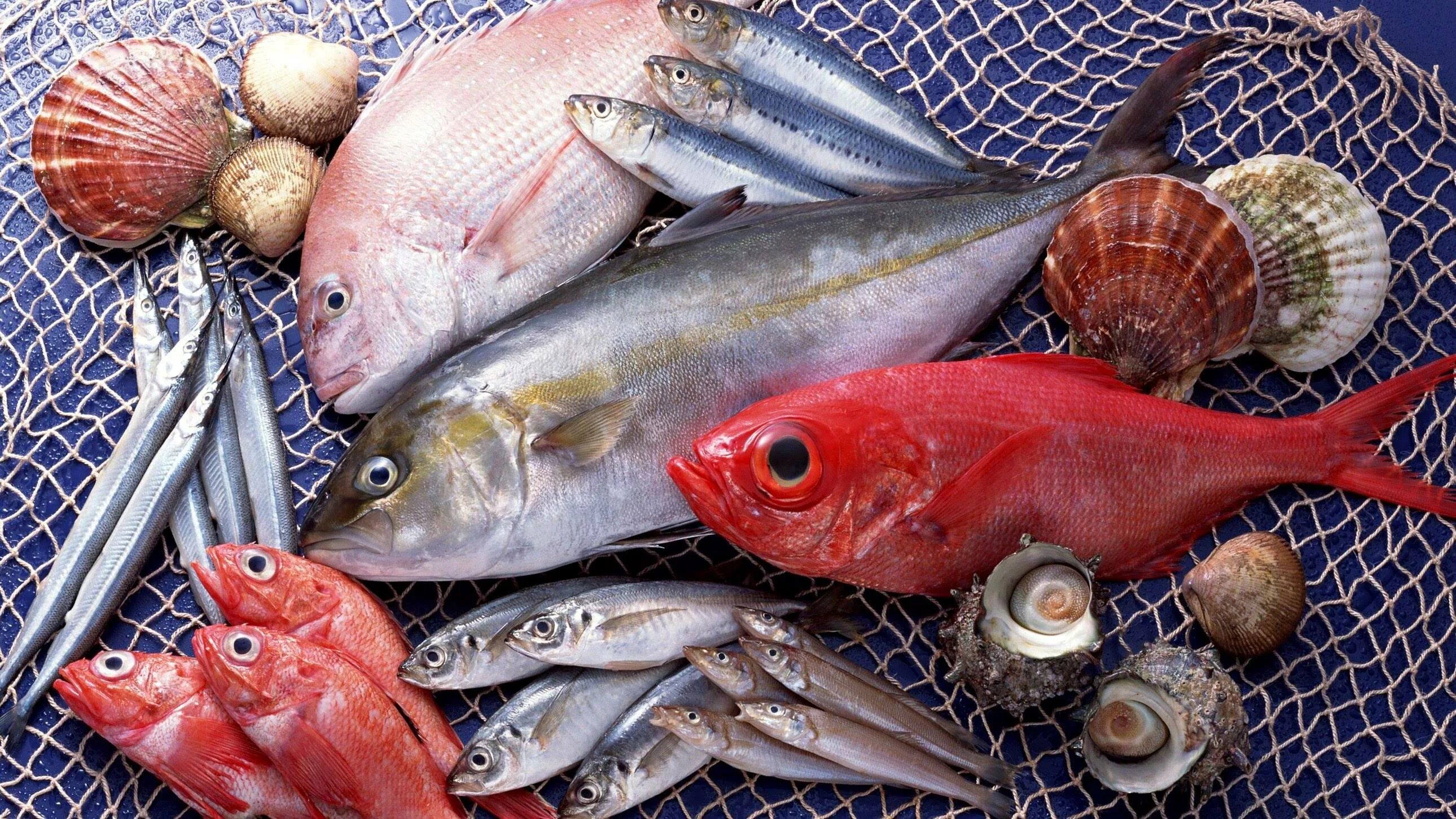 Рыбы 2026. Рыба и морепродукты. морские рыбы. рыба съедобная. морская рыба для еды.