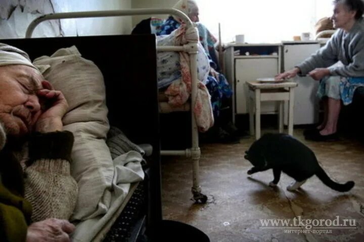 Оформление в дом престарелых куда обращаться Направление в дом интернат