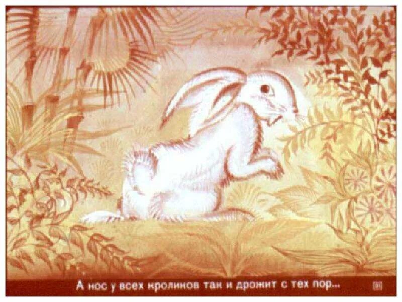 Отчего у зайца длинные уши Мансийская сказка. Отчего у зайца длинные уши Мансийская сказка иллюстрации. Рисунок к сказке отчего у зайца длинные уши. Заяц с длинными ушами. У зайца хвост короткий а уши