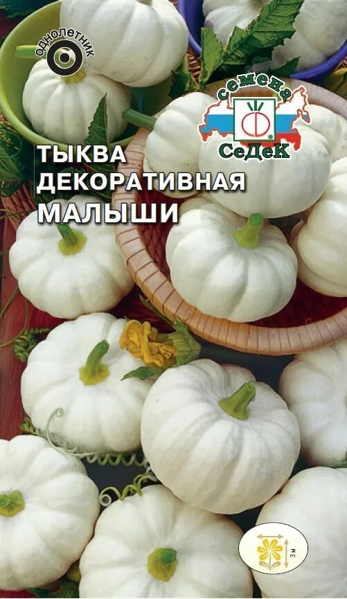 Тыква для детей. Тыква ребенку 1. Тыква декоративная малыши (седек). Тыква нельсон f1. Тыква ребенку 1.