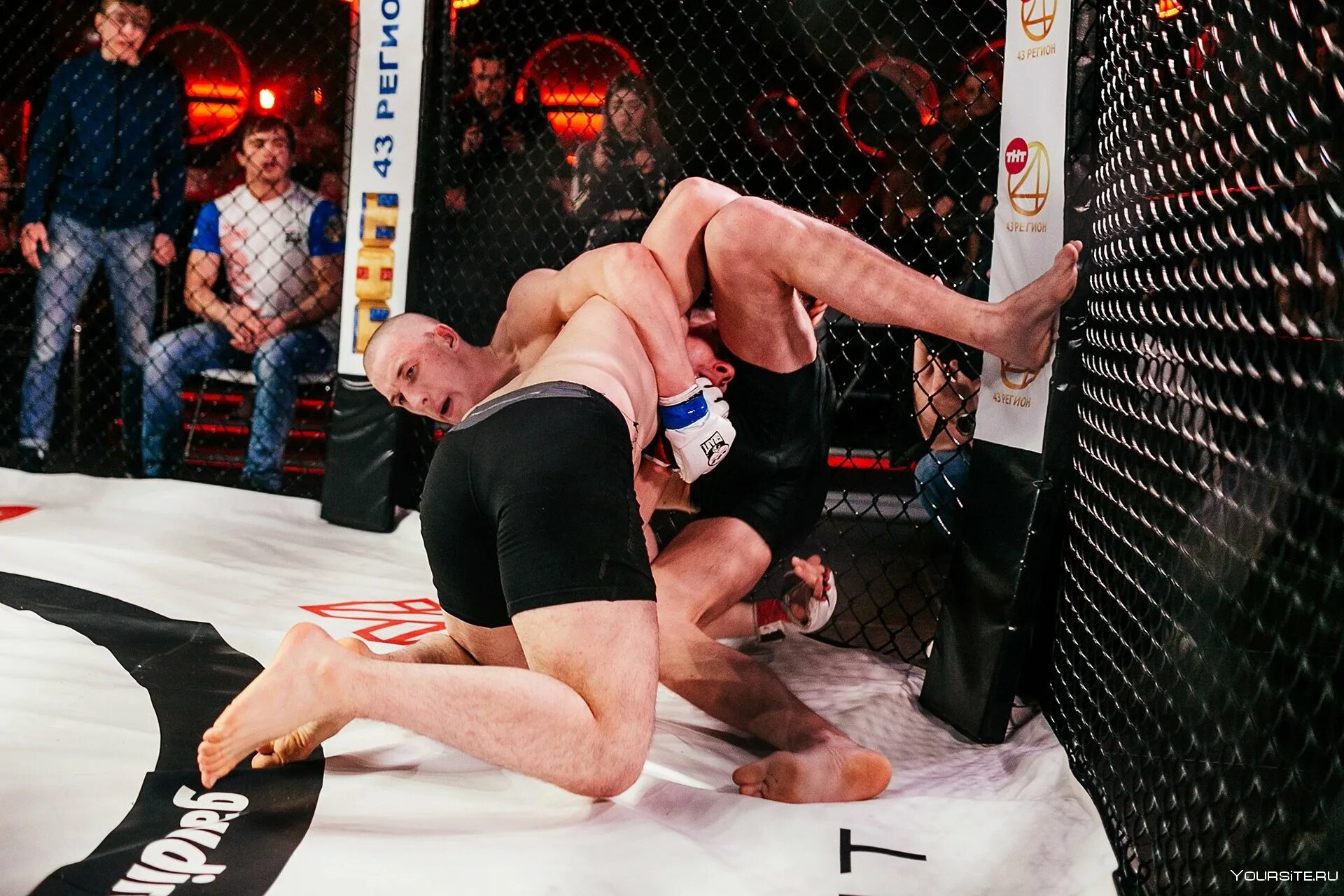 восточные единоборства. смешанные единоборства мма. восточные единоборства. тайджитсу ли. боевые искусства айкидо.