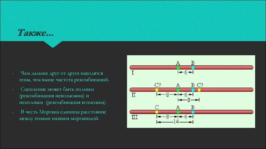 Частота рекомбинации. Расстояние между генами. Генетика расстояние между генами. Единица расстояния между генами.