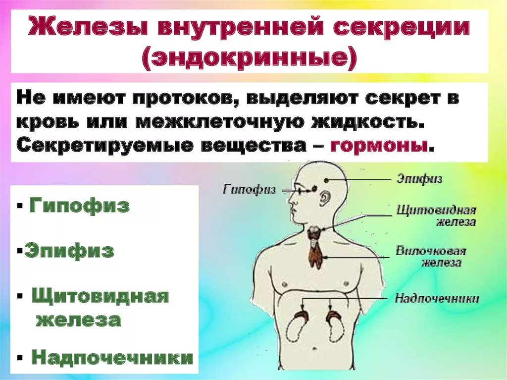 Нарушение функции эндокринной системы