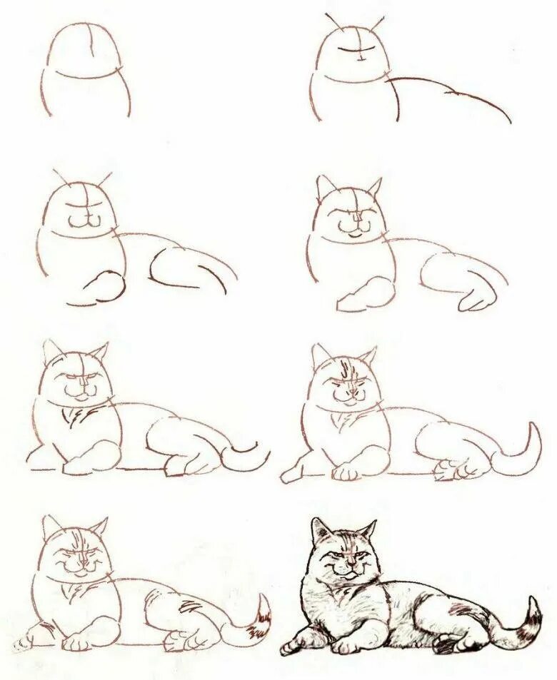 Рисовать поэтапно котиков. Поэтапное рисование карандашом. Рисование кошки поэтапно. Кошка рисунок карандашом поэтапно. Кот рисунок карандашом поэтапно.