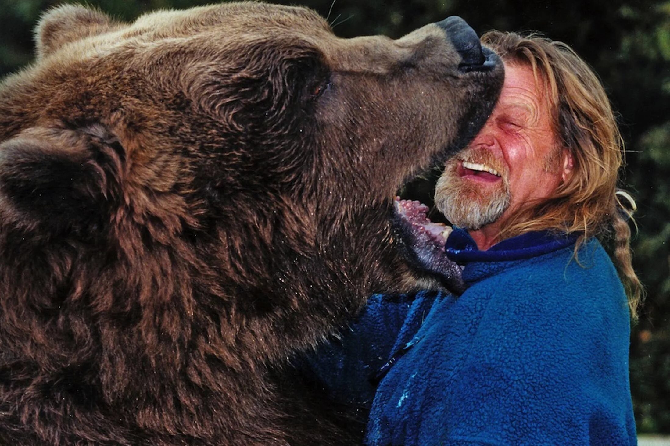 He can t bear. Медведь Кадьяк барт. Медведь барт и его дрессировщик. Бурый медведь Кадьяк. Актер медведь барт.