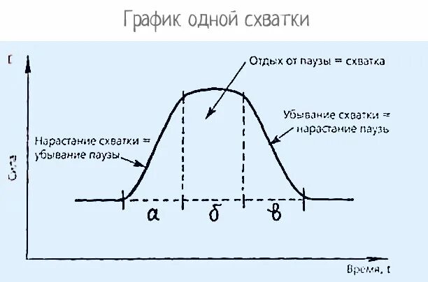 Схватки график. Схема нарастания схваток. График интенсивности схваток. Частота схваток график.