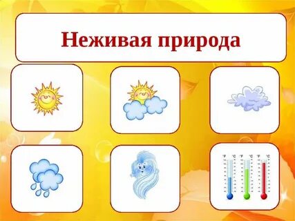 Живая неживая природа подготовительная группа занятие