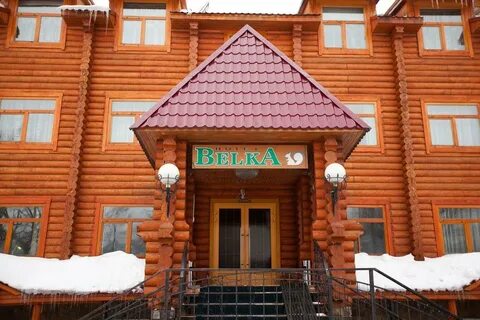 Белка южно сахалинск