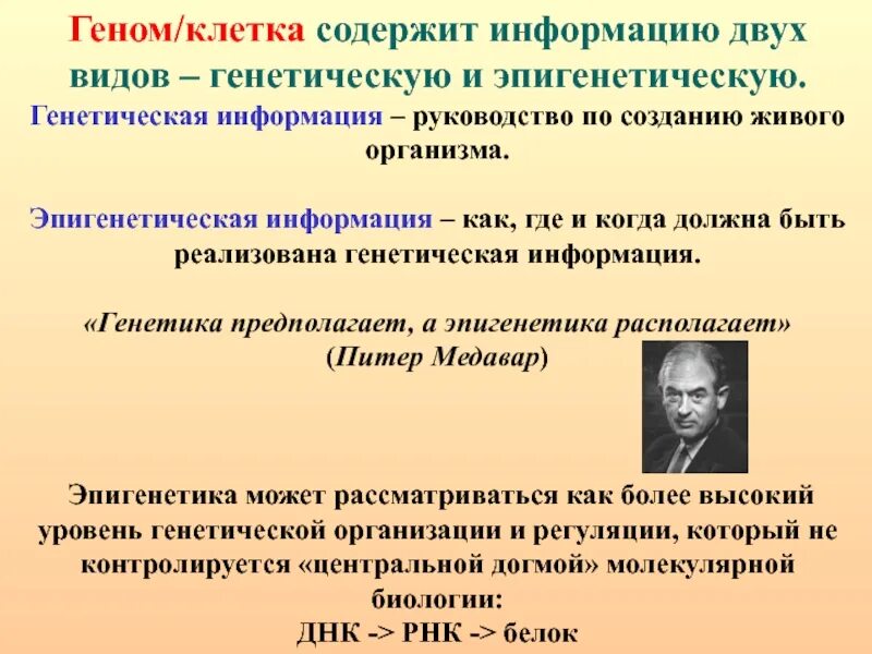 Общие представления об эпигенетике