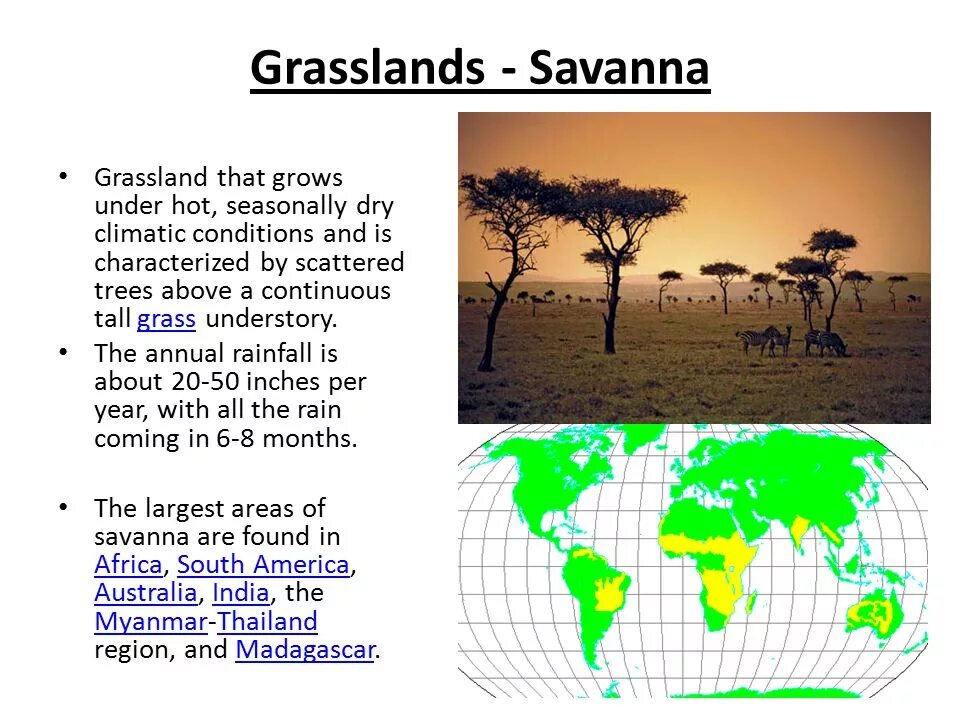 Характеристика саванны. Tropical grassland. Тропические Грасленд и Саванна.. Саванны Африки.