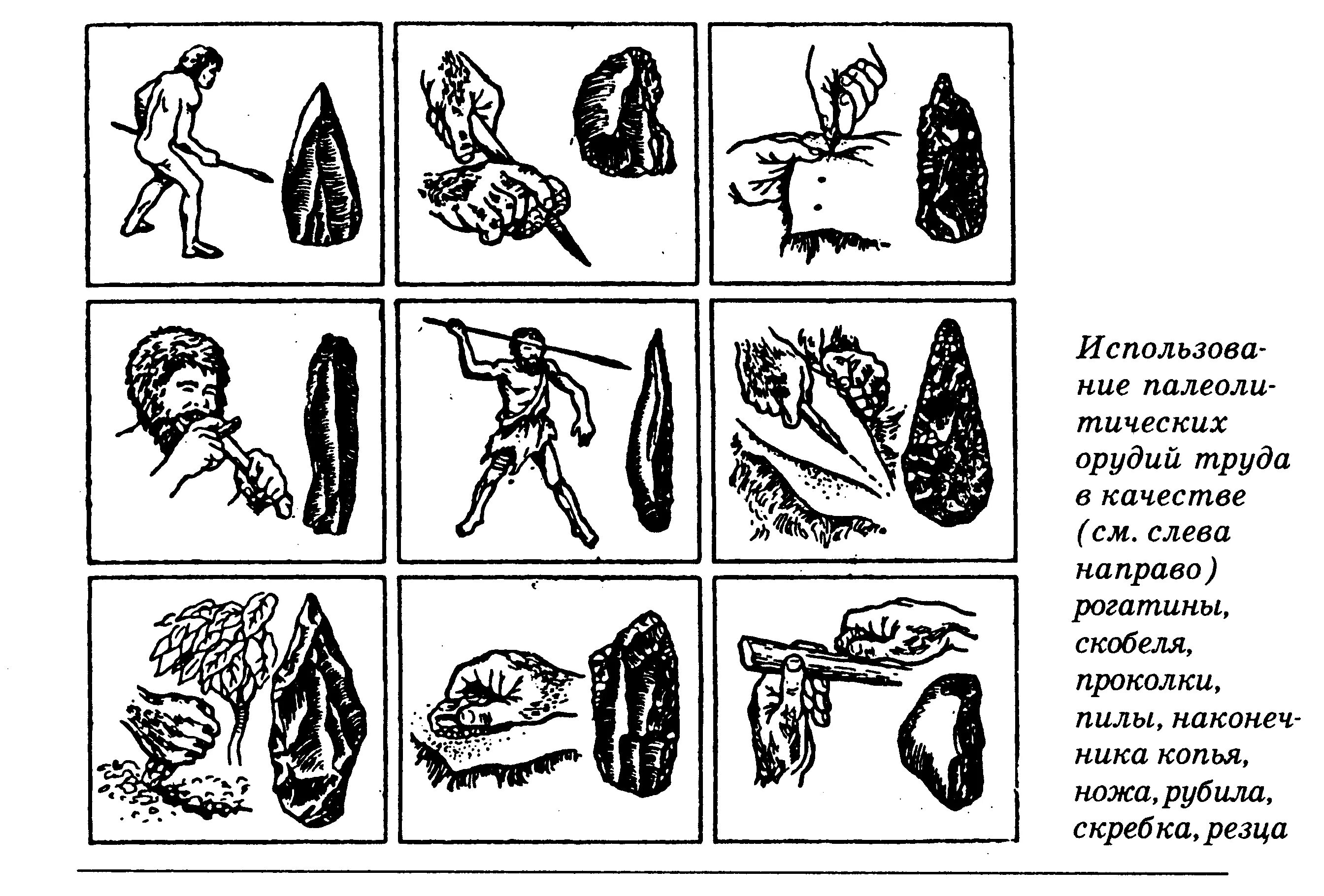 Последовательность использования предками человека орудий. Орудия труда первобытного человека. Занятие орудия труда. Древние орудия труда. Первобытный человек задания для дошкольников.