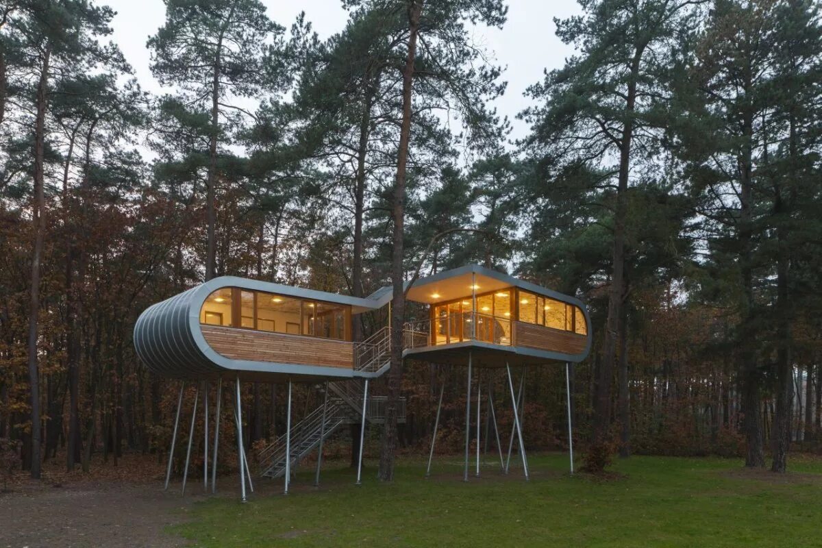 Жилой дом на дереве. Отель Treehouse домики на деревьях. The Tree House Baumraum. Дом на сваях в лесу. Современные дома с деревом.