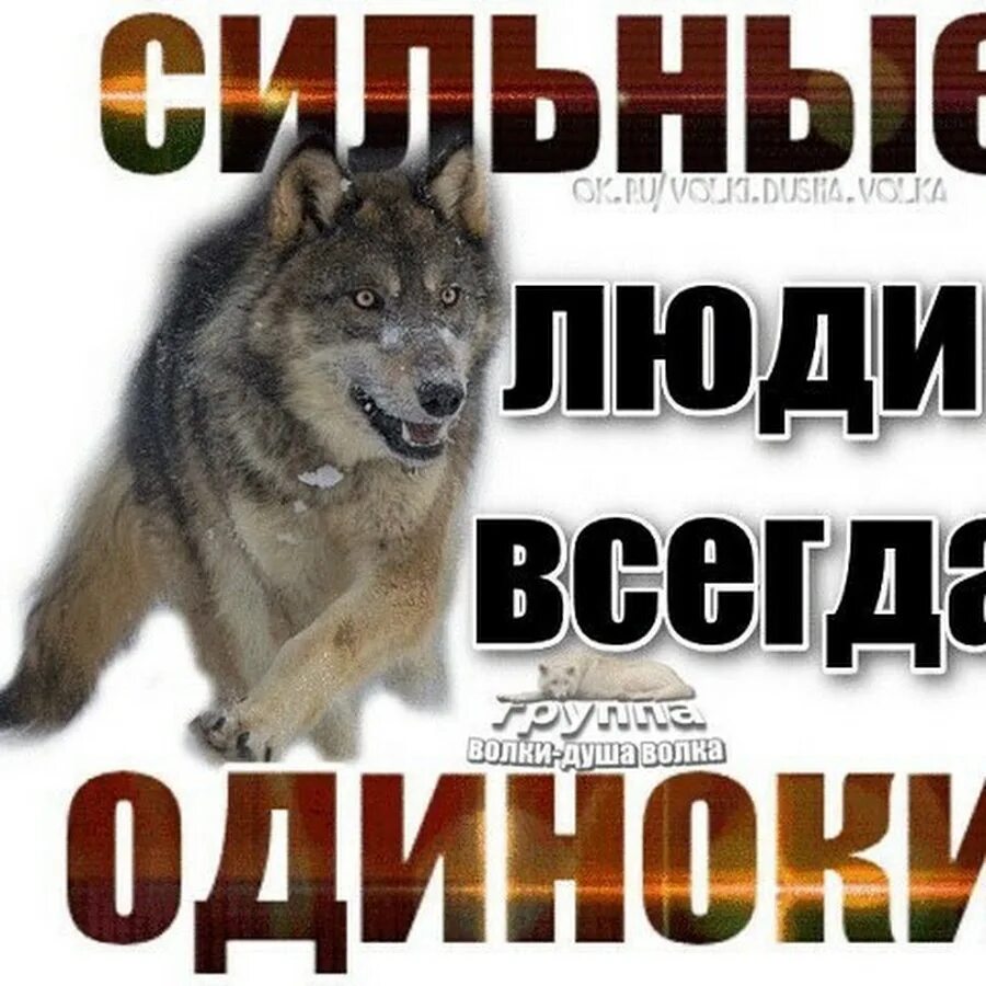 Стану сильнее в одиночку. Сильные люди всегда одиноки. Сильных не любят ими нельзя управлять. Одиночки сильные люди. Сильные люди всегда одиноки стихотворение.