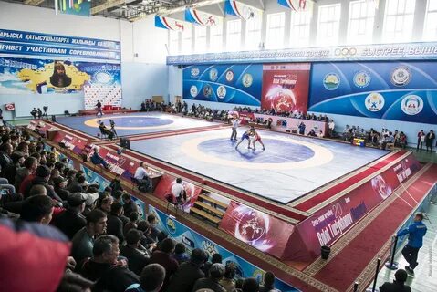 Арена борьбы