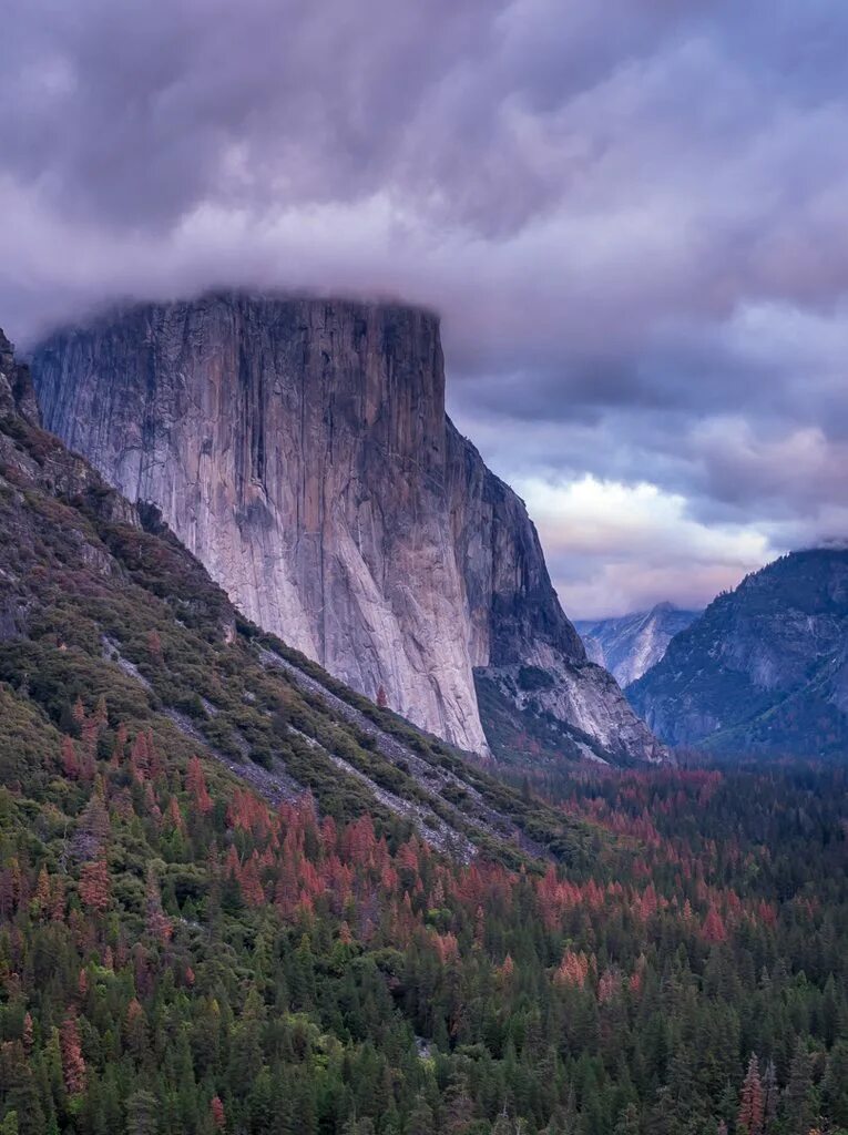Мак ос лучшее. Мак ос йосемити. обсерватория yosemite. эль капитан. рабочий стол mac os.