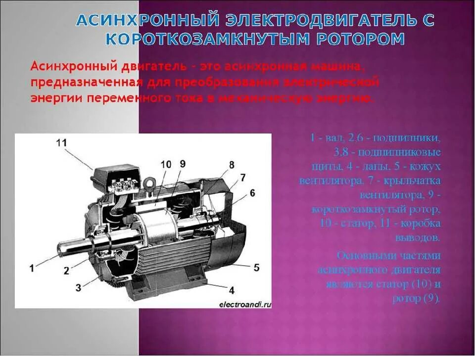 На каком явлении основан электродвигатель