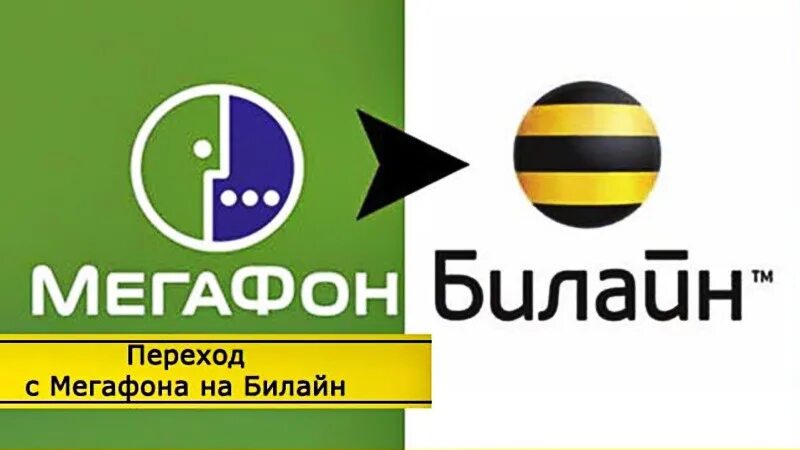 Переход на билайн с сохранением. Билайн МЕГАФОН. Переход с Билайна на МЕГАФОН С сохранением номера. Перевести деньги с Билайна на МЕГАФОН. Переход в МЕГАФОН С Билайн.