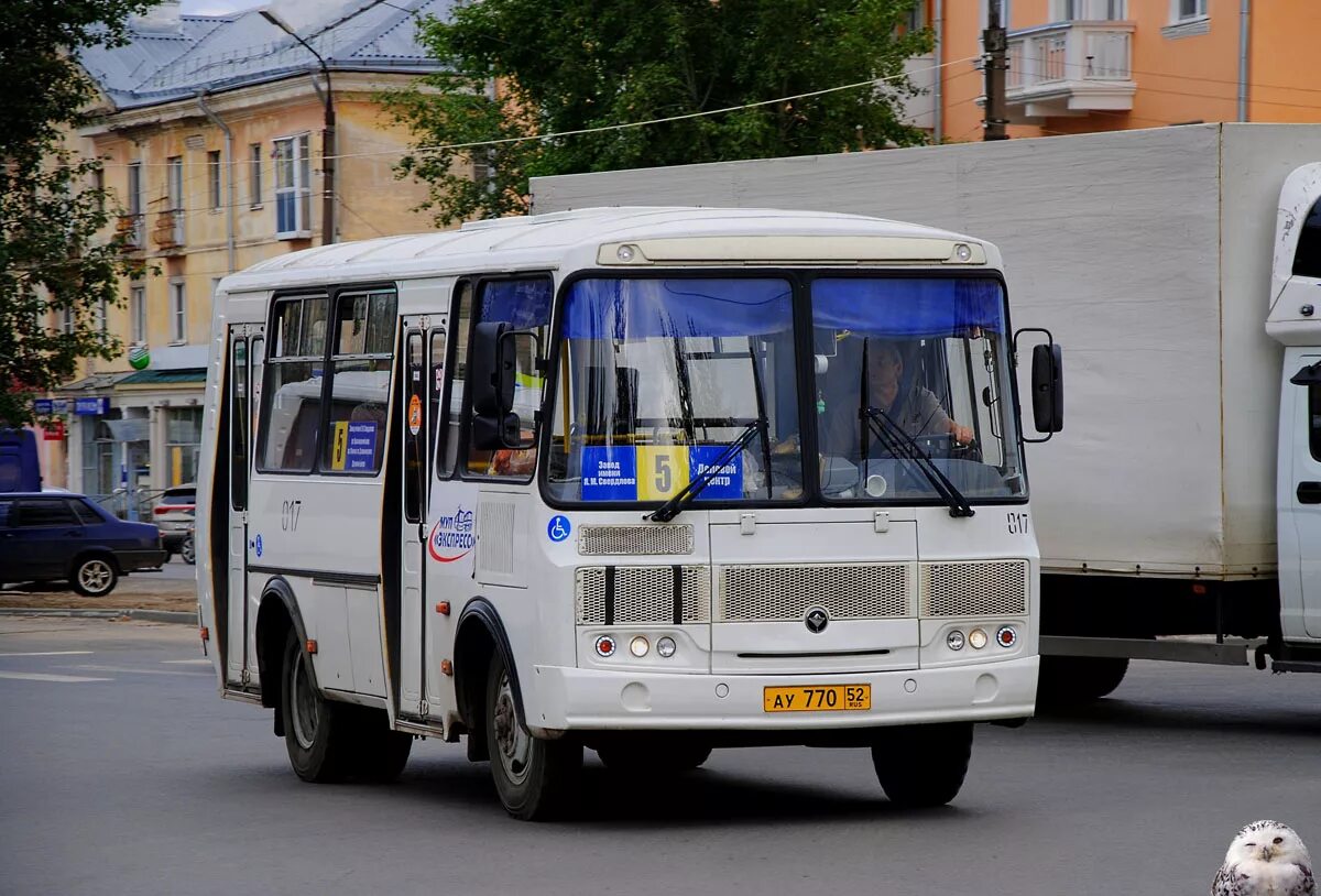 Диск колесный паз-3205 6 шпилек. Диск колеса паз 3205 6 шпилек. Диск колеса паз 3205. Диск колесный паз-3205 8 шпилек. Диск колеса паз 3205 6 шпилек.