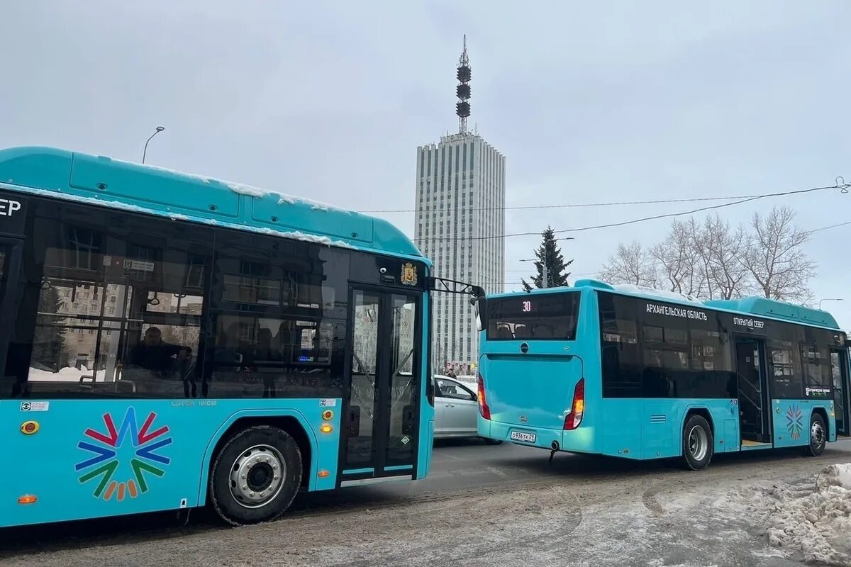 Автобусы архангельск телефон. Автобусы Рико Архангельск. Новые городские автобусы. Современные автобусы России. Архангельский автобус.