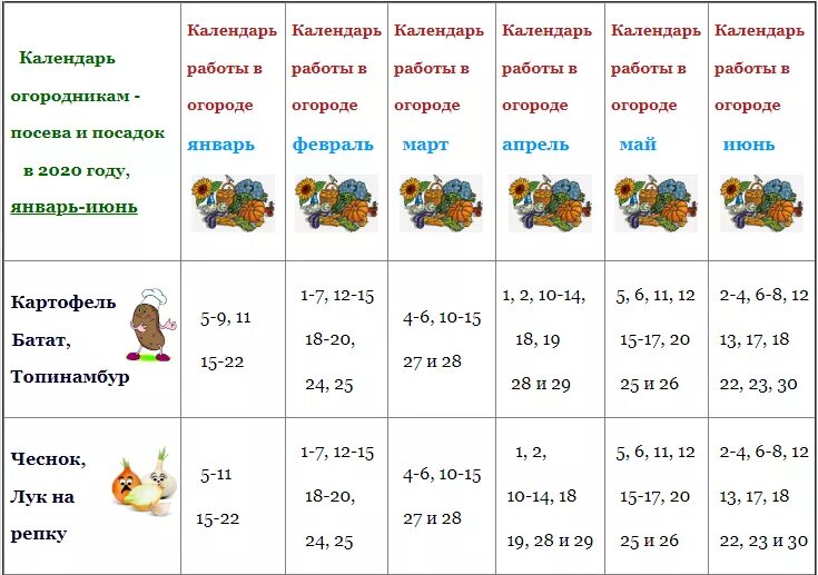 Благоприятные дни 2020 лунный календарь. Лунный календарь на 2020 год для садоводов. Лунный календарь огородника на 2020 год. Лунный посевной календарь на 2020 год таблица. Посевной календарь на 2020г.