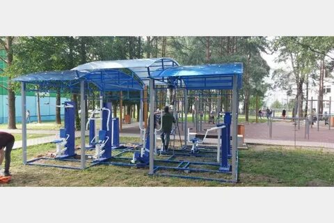 Спорт коньково