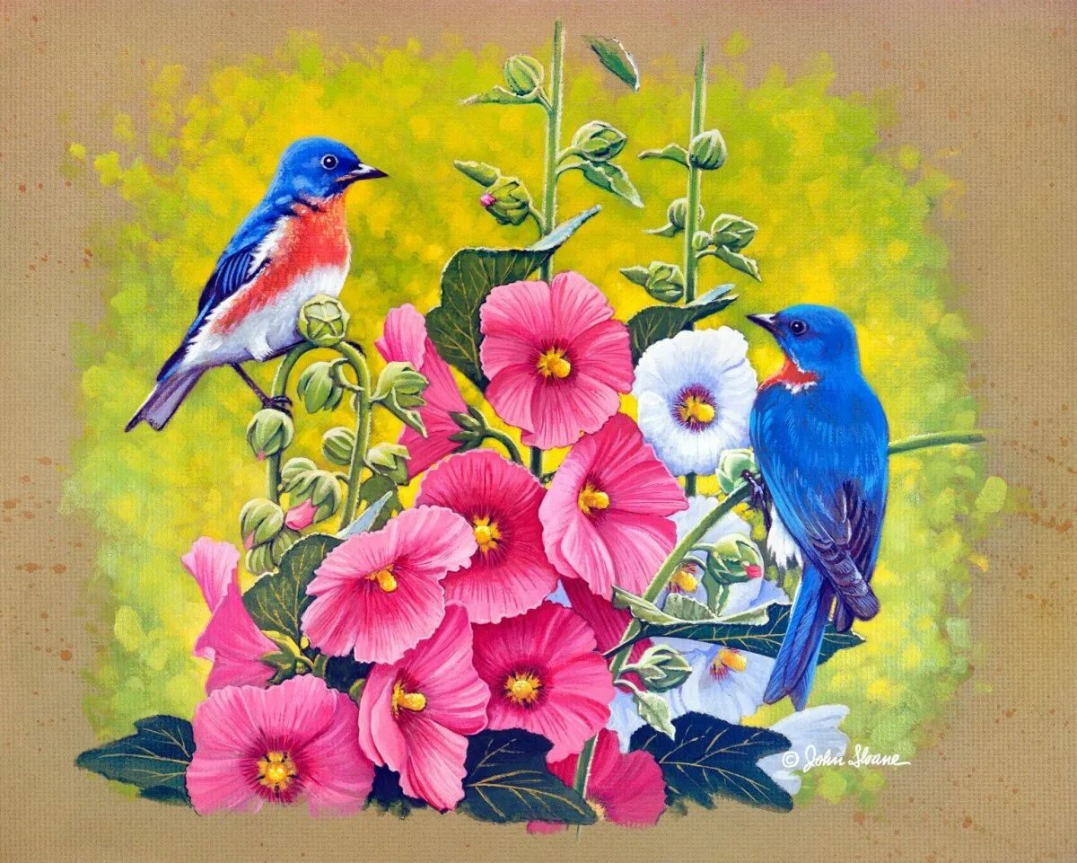 Птичка на д. Сьюзен Бордет Райские птицы. Джон Слоан цветы. Художник Carolyn Shores акварель птицы. Джон Слоан весенние картины.
