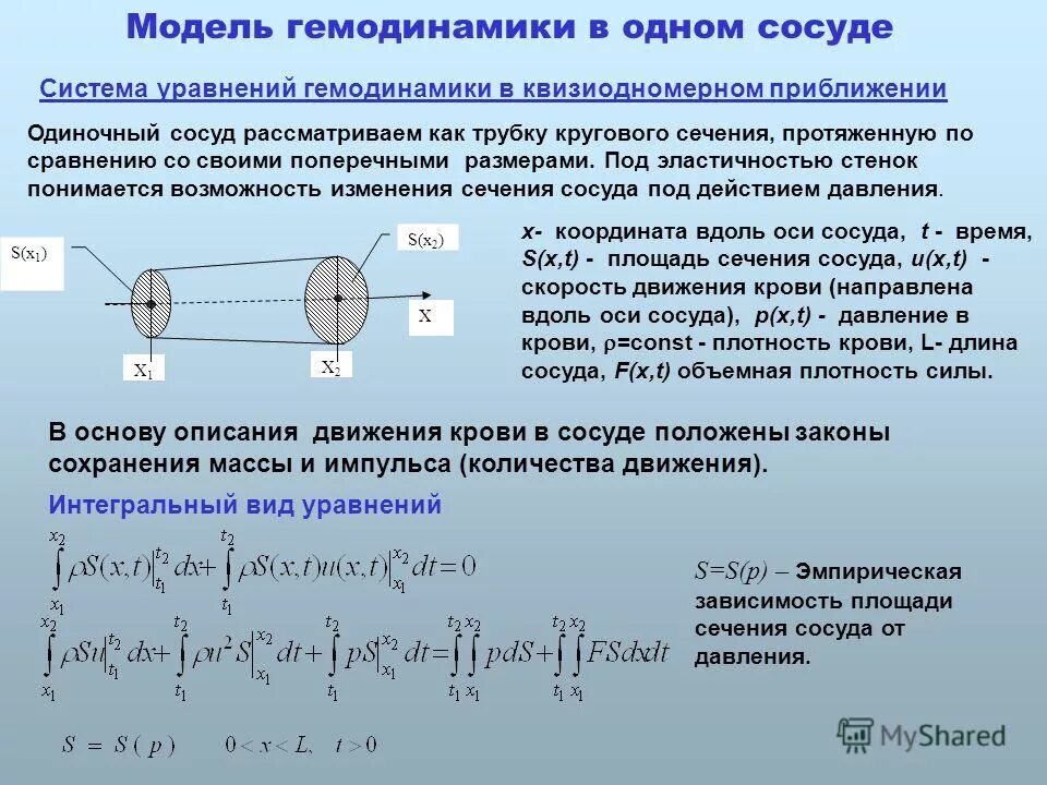 Площадь сечения сосудов. Суммарная площадь поперечного сечения кровеносных сосудов. Площадь сечения сосудов. Площадь сечения сосудов. Площадь сечения сосудов.