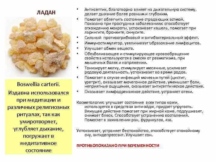 Описание ладана. Свойства ладана. ладан при беременности. из чего состоит ладан.
