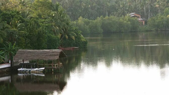 Озера шри ланки. Шри Ланка Хиккадува озеро. Озеро Ратгама Шри Ланка. Balgoda Lake Шри Ланка. Озеро в Хиккадуве.