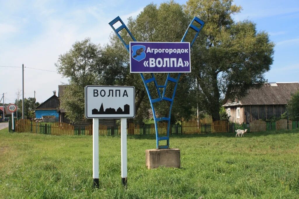 Погода волпа