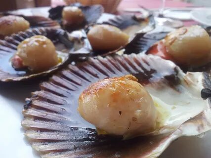 Сколько по времени готовить гребешки