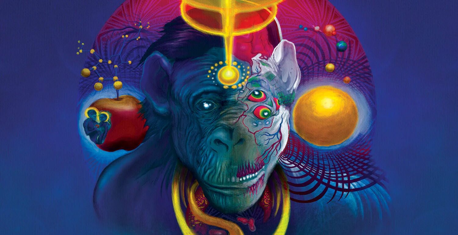 In some dreams. Banksy follow your dreams. In your dreams. In some dreams. Романтический пейзаж закат.