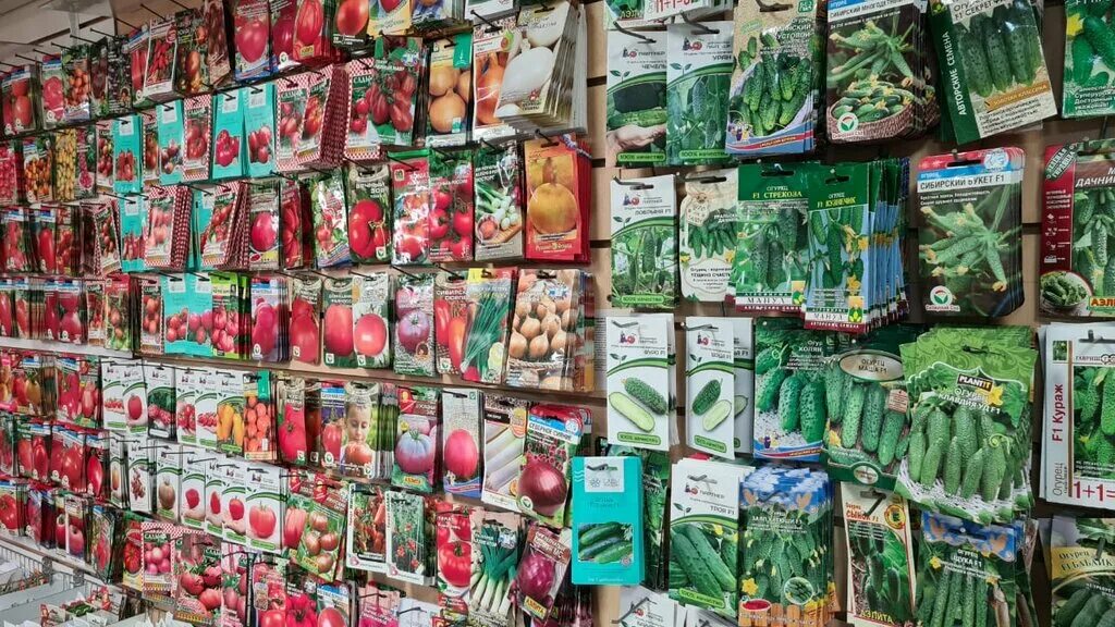 Семевмтва овощей. Алтай продукт барнаул. Садовод-любитель барнаул. Магазин удачник южно-сахалинск. Садовод алтая.