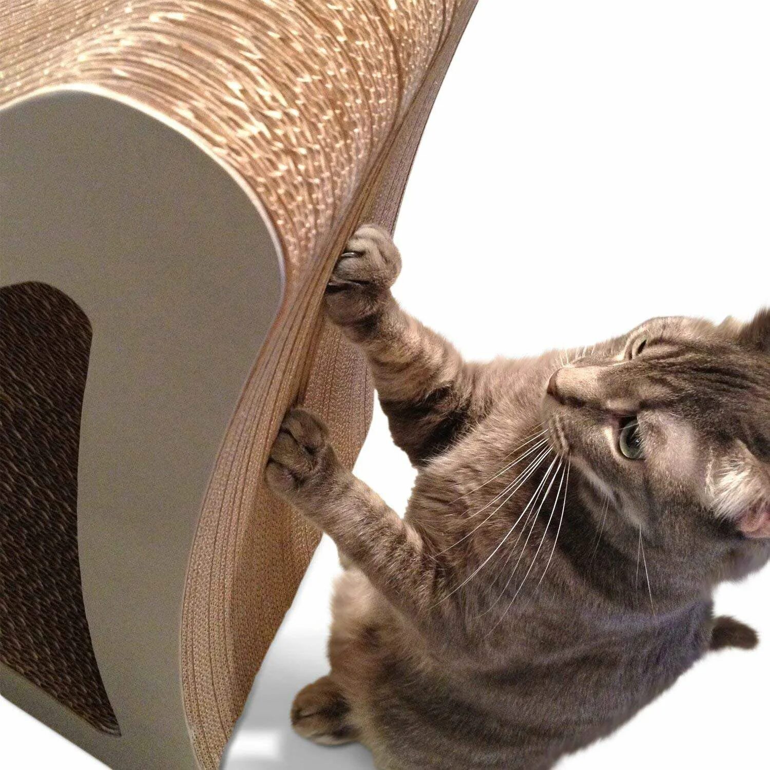 Cat scratcher. Scratcher. Кошки Вертикаль. Cat Scratcher 2015. PETFUSION Cat Toy.