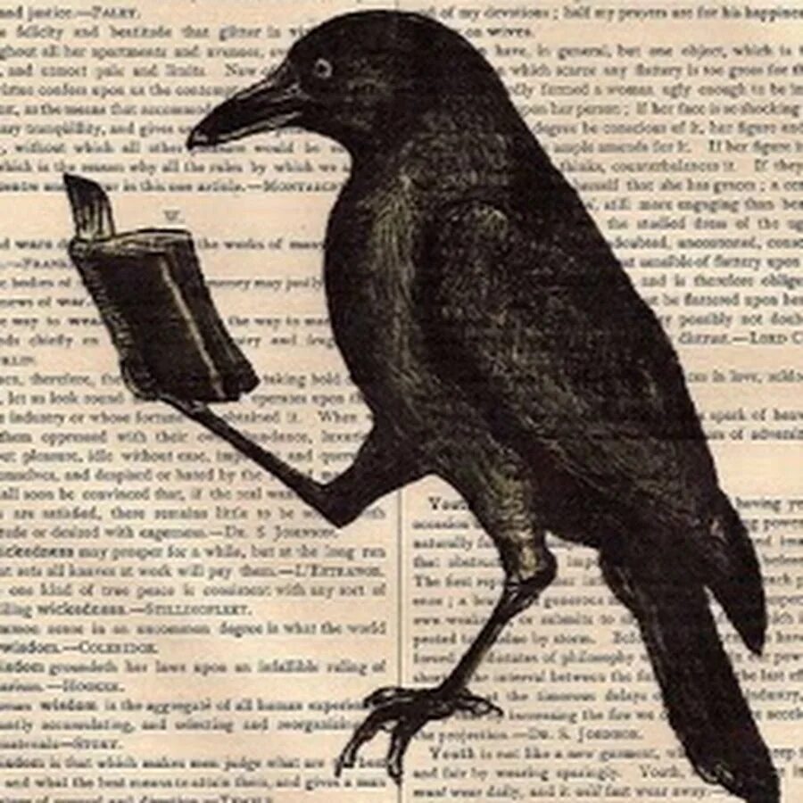 Рисунок вороны с книгой. Вороны книга читать. Птицы книги рисунок. The Crow тату. Читала ворона газету