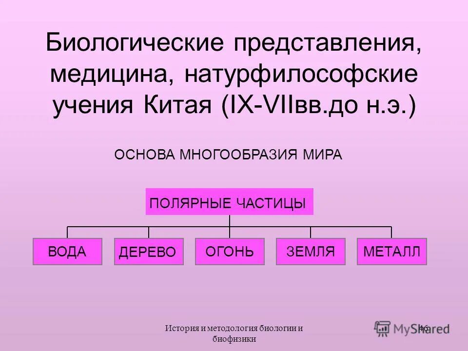 Разнообразие основа. Разнообразие основа