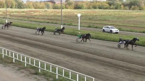 Мансурово курганская область