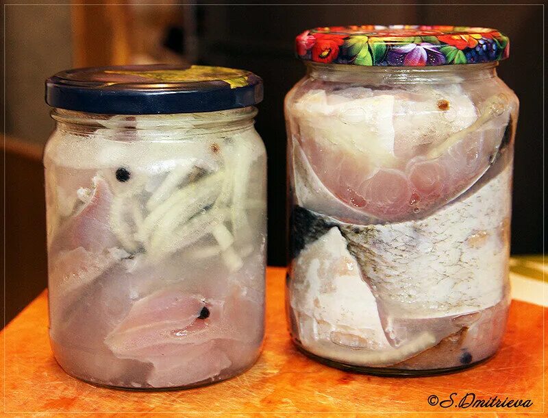 солить толстолобика рецепт. солить толстолобика рецепт. малосольный толстолобик в домашних. селедка в рассоле. маринованный толстолобик в банке.