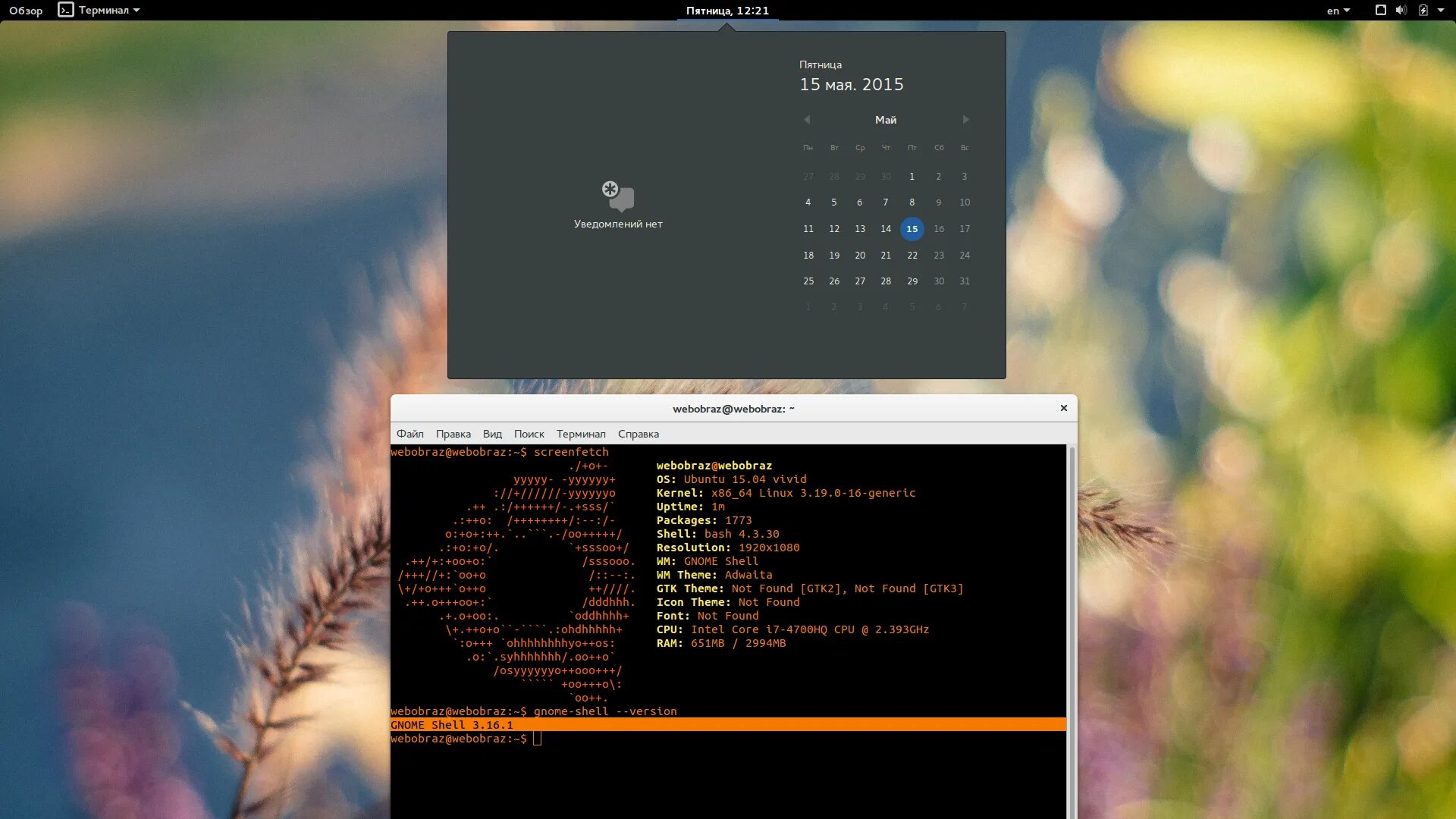 Дистрибутивы linux 2025. Linux обзор. linux уроки. ubuntu gnome 15.04. установить gnome 3 терминал.