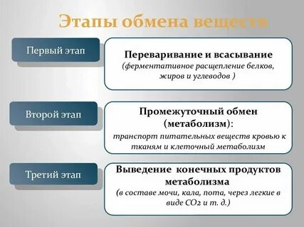 Размен людьми