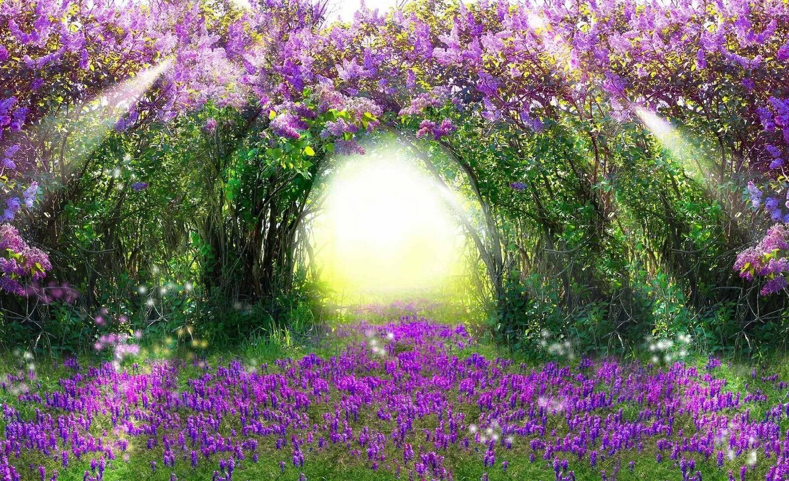 Волшебный сад песня слушать. Волшебная Поляна с цветами. Сказочная природа. Сказочные цветы. Сказочная Поляна цветов.