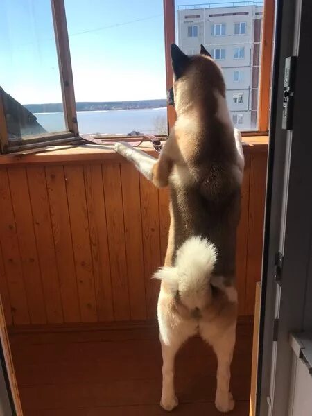 Вертится увидевший