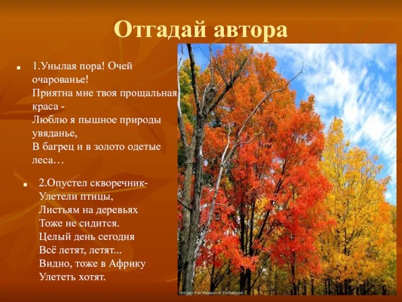 Осень осень золотом одетая